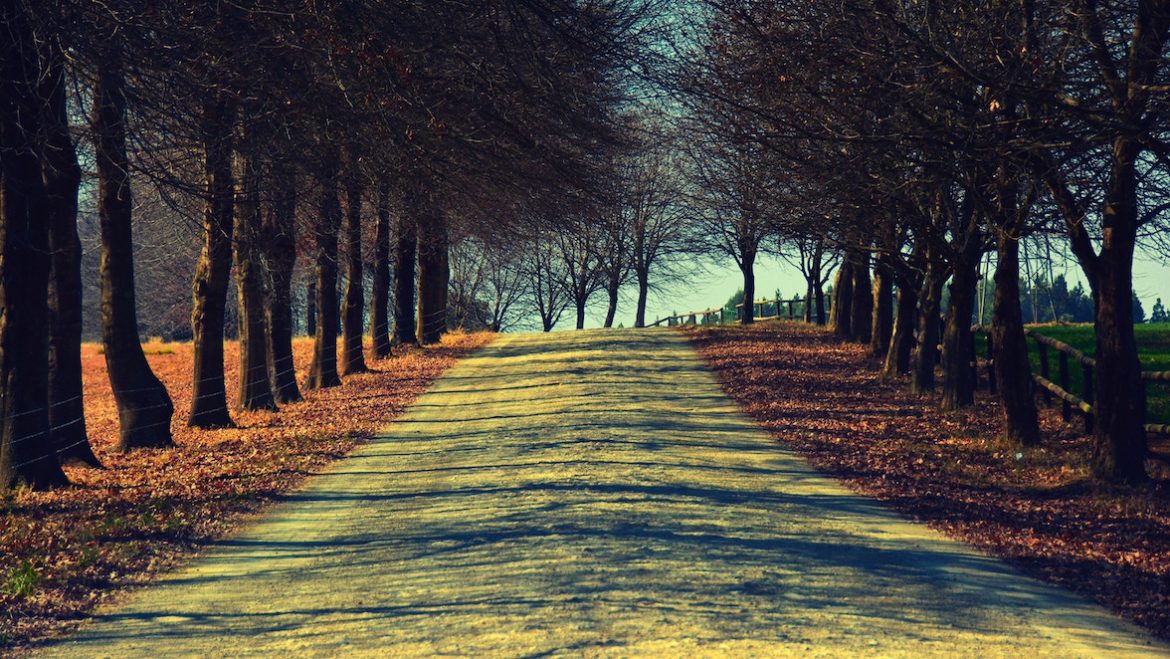 mike-saunders-country road -unsplash