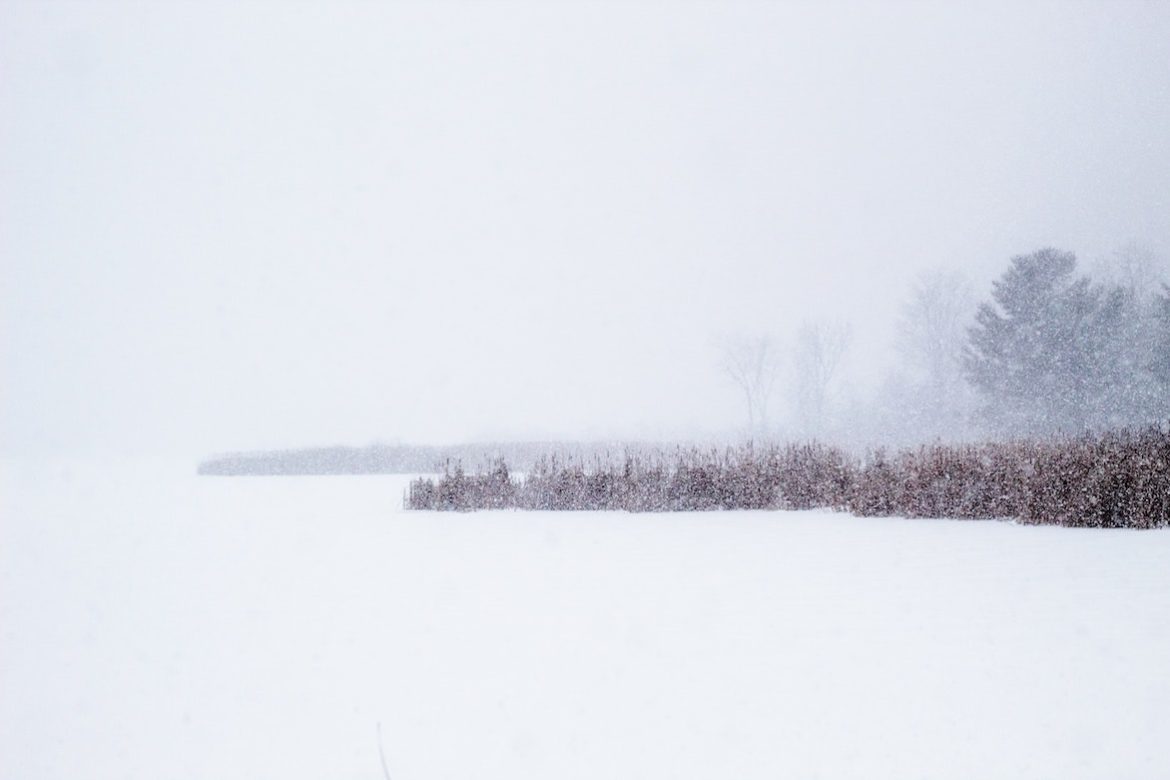 jessica-johnston-c_p6UONZrYQ-unsplash