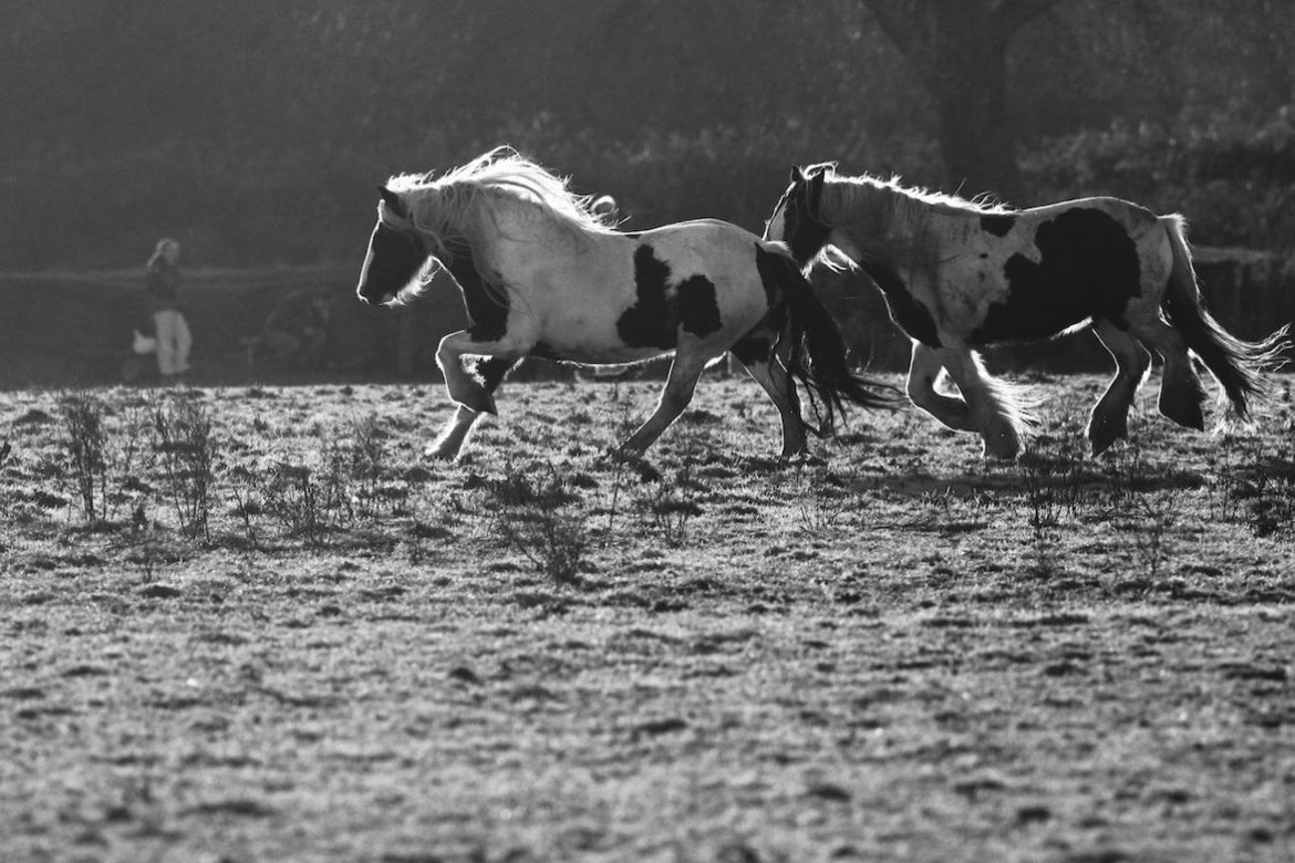 james-wainscoat-blV8iG7Ax3w-unsplash