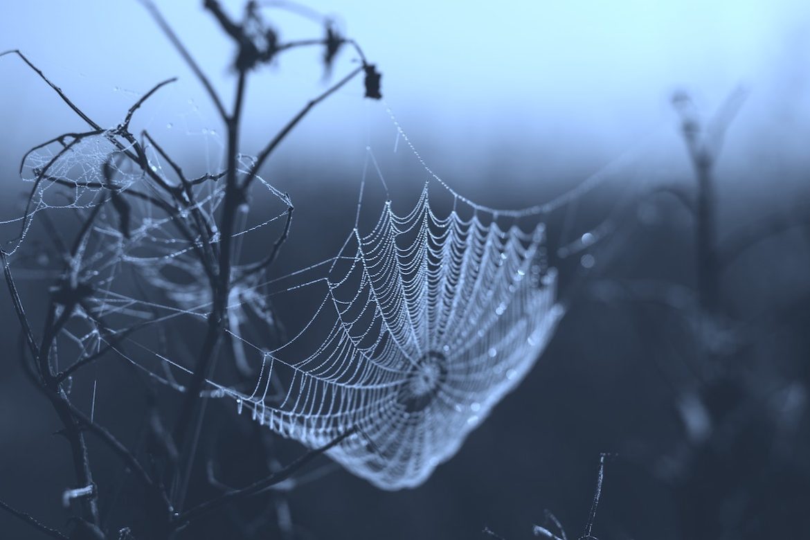 freestocks-ZArDeAtxj0Q-unsplash